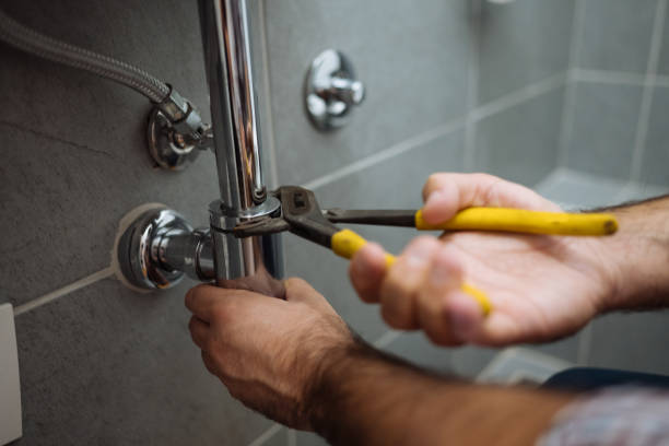 Best Plumbing Inspection Services  in Fairmount, IN